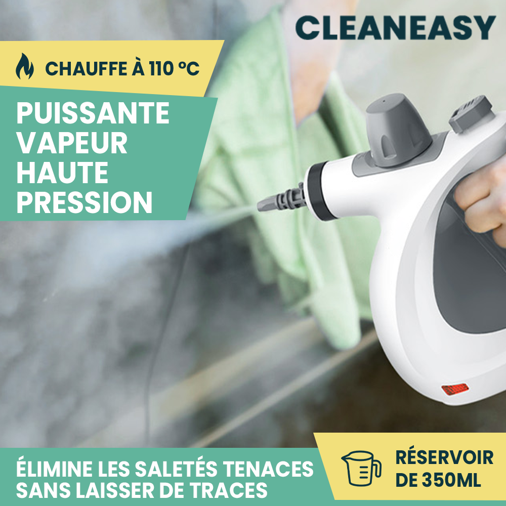 Nettoyeur Vapeur à Main Multifonctionnel