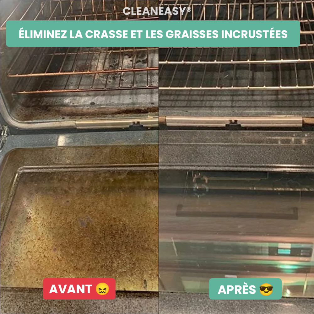 Nettoyeur Vapeur à Main Multifonctionnel