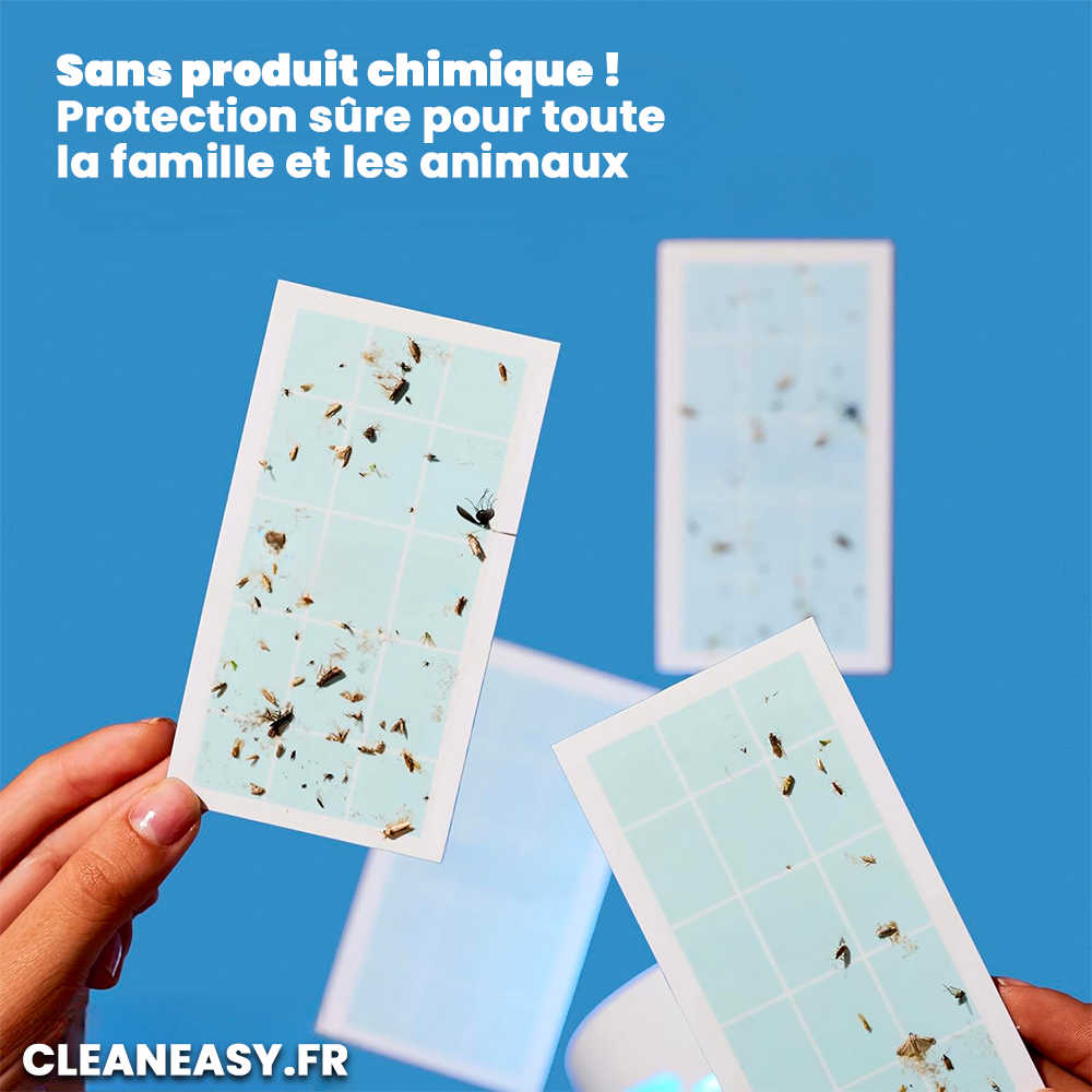 Pack de 5 Recharges pour Piège Anti-Insectes
