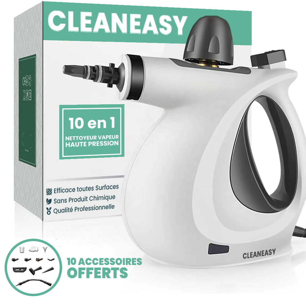 Nettoyeur Vapeur à Main Multifonctionnel